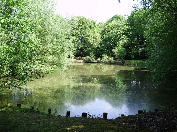 L'étang de peche